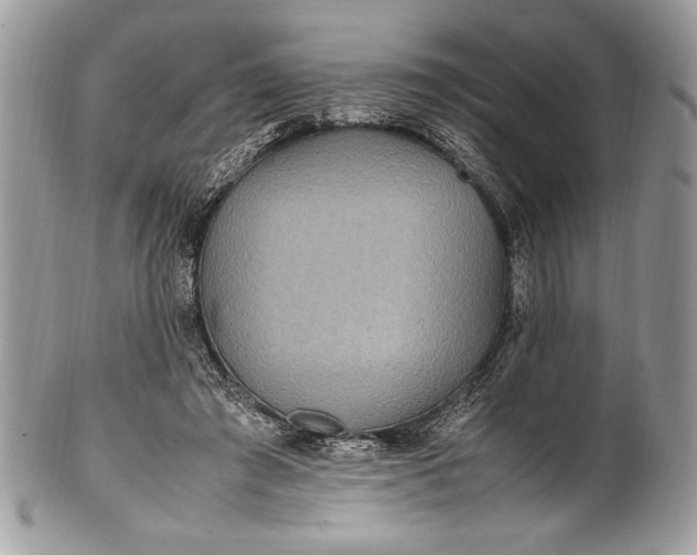 X0000100860401200807070938