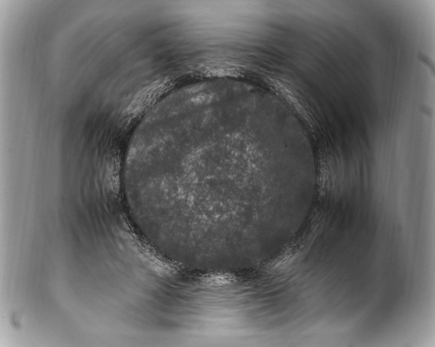 X0000100860402200807070938