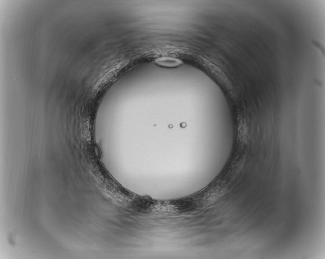 X0000100860403200807070938