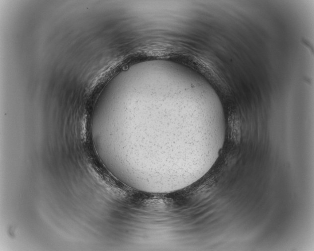 X0000100860404200807070938