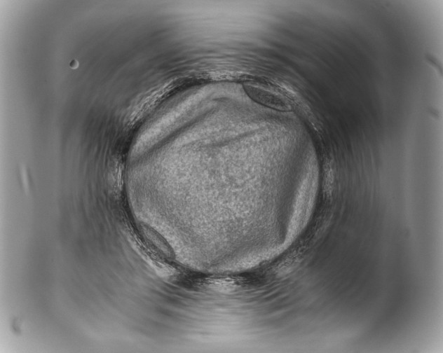 X0000100860405200807070938