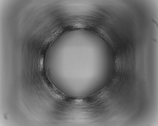 X0000100860406200807070938