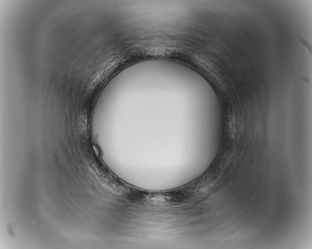 X0000100860407200807070938