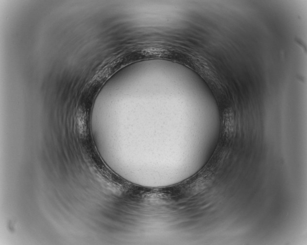 X0000100860408200807070938