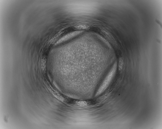 X0000100860409200807070938