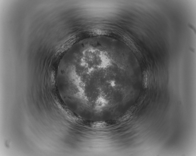 X0000100860410200807070938