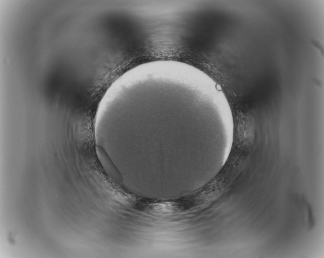 X0000100860411200807070938