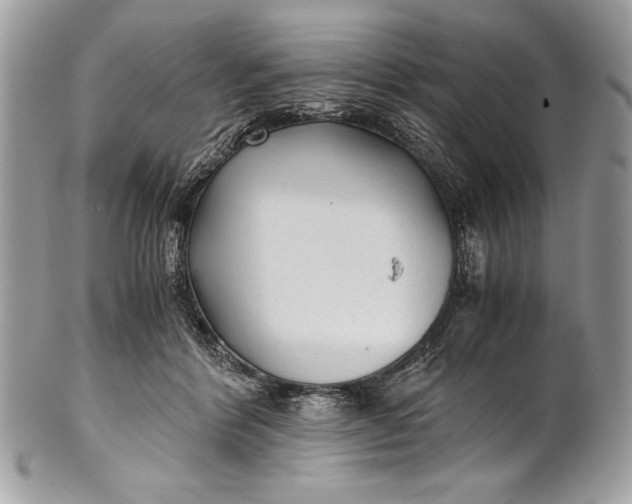 X0000100860412200807070938