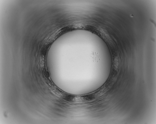 X0000100860413200807070938