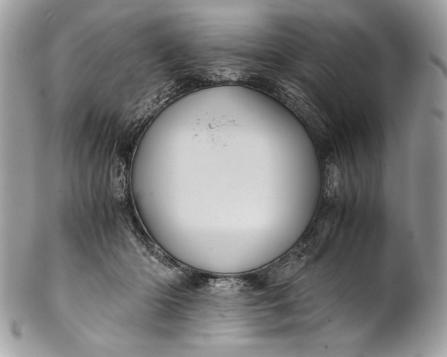 X0000100860414200807070938