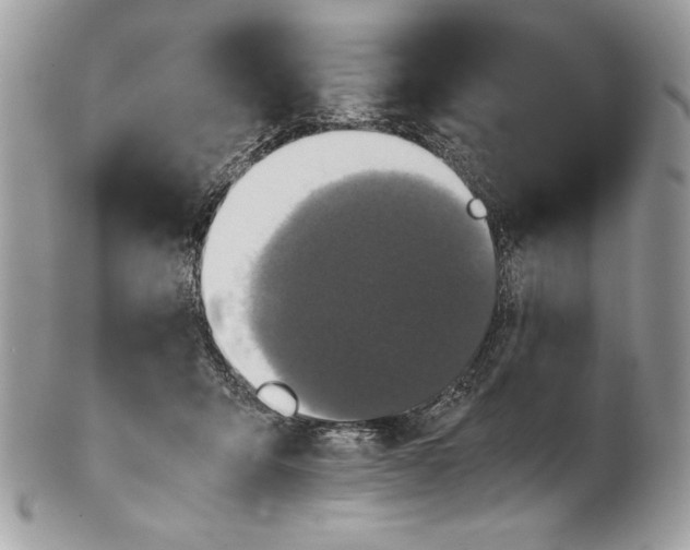 X0000100860415200807070938