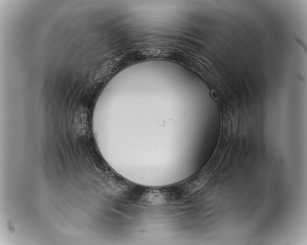 X0000100860416200807070938