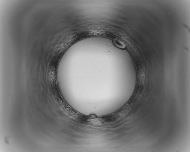 X0000100860417200807070938