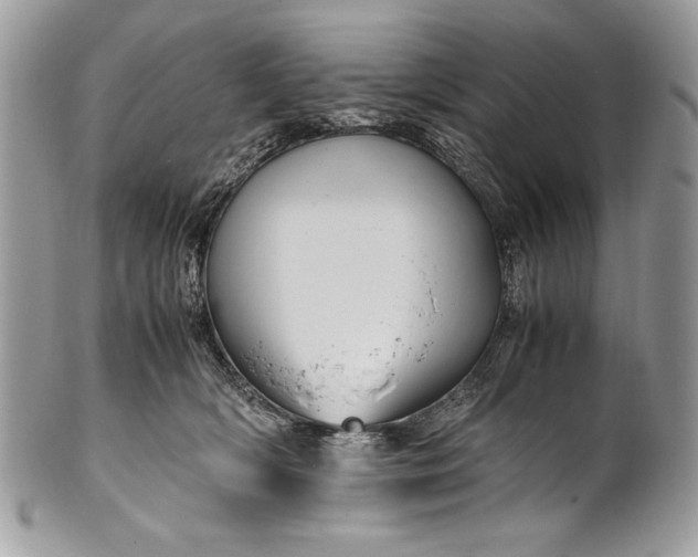 X0000100860418200807070938