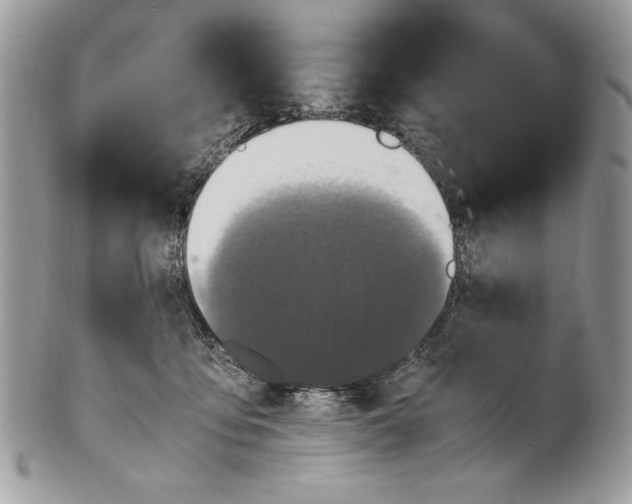 X0000100860419200807070938