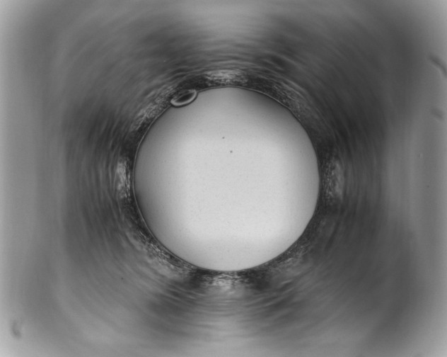 X0000100860420200807070938