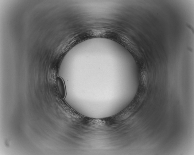 X0000100860421200807070938