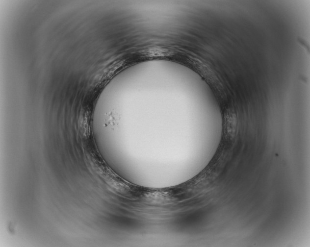 X0000100860422200807070938