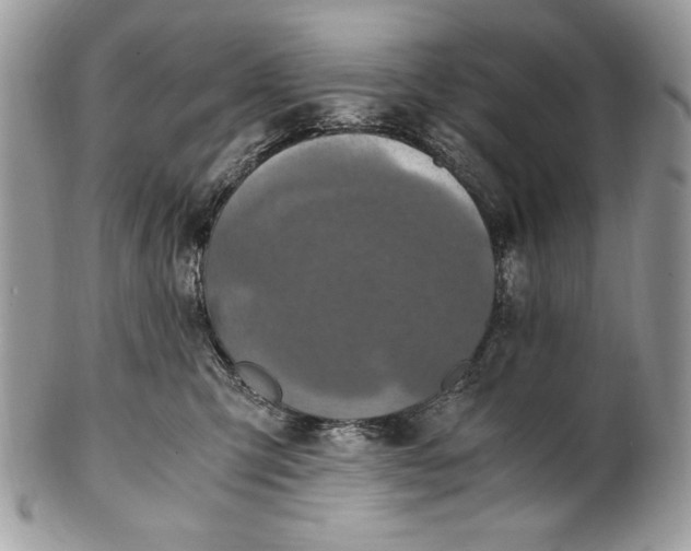 X0000100860423200807070938