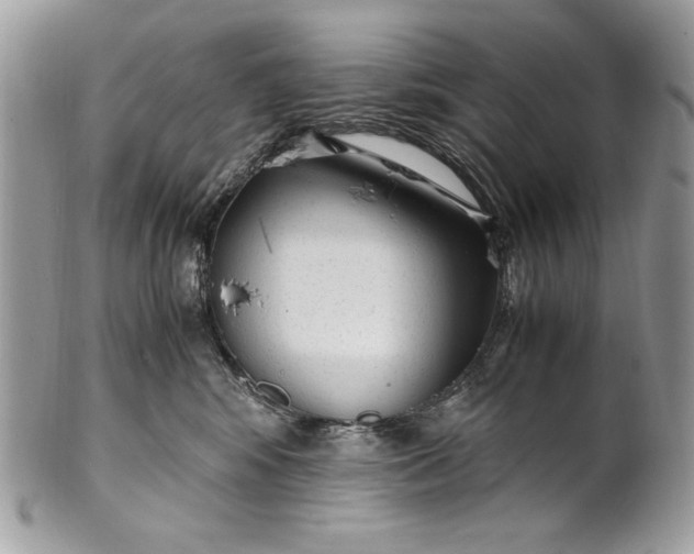 X0000100860424200807070938