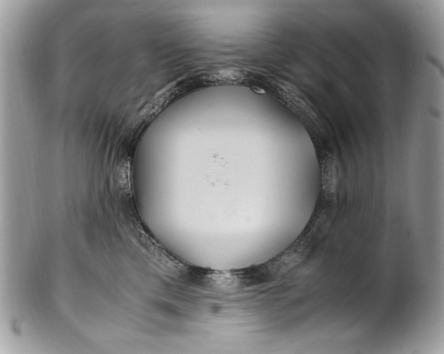 X0000100860425200807070938