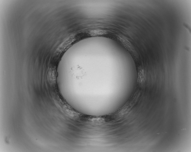 X0000100860426200807070938