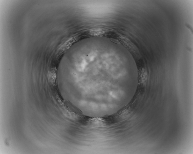 X0000100860427200807070938