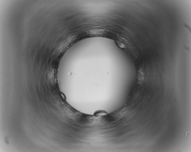 X0000100860428200807070938