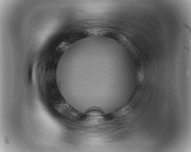 X0000100860429200807070938