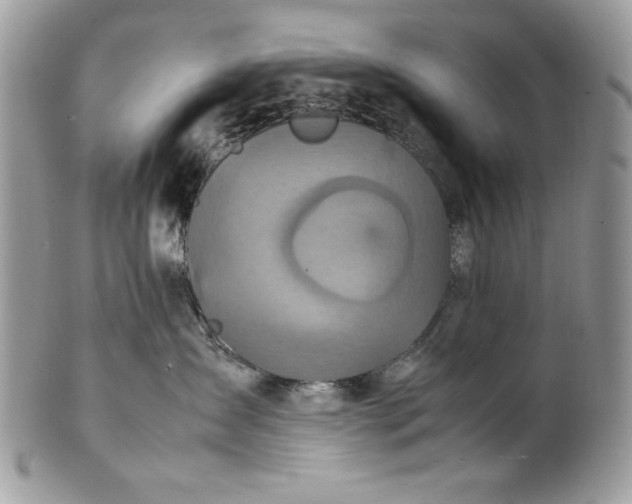 X0000100860431200807070938