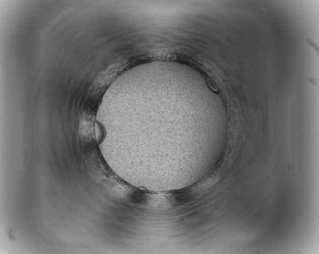 X0000100860432200807070938