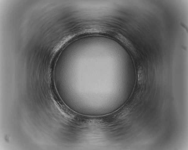 X0000100860436200807070937