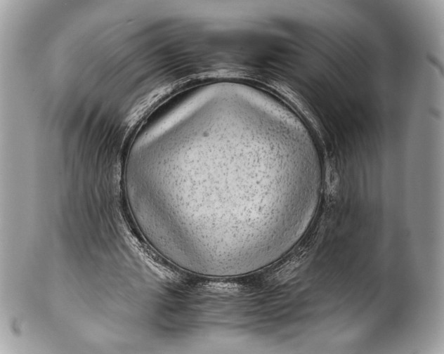 X0000100860437200807070937