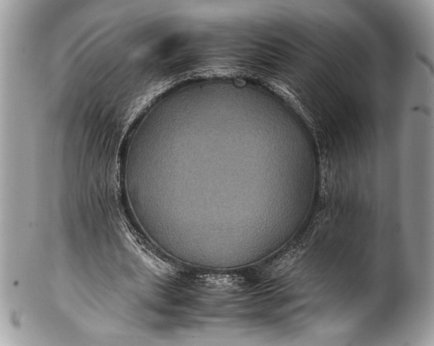 X0000100860439200807070937