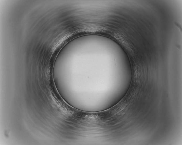 X0000100860440200807070937