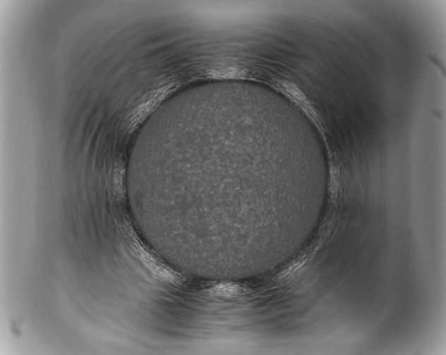 X0000100860441200807070937