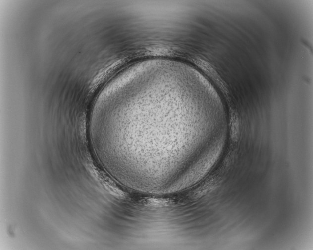 X0000100860442200807070937