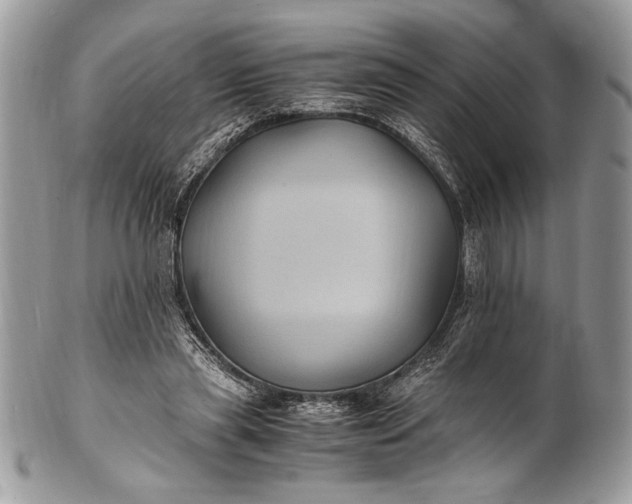 X0000100860445200807070937