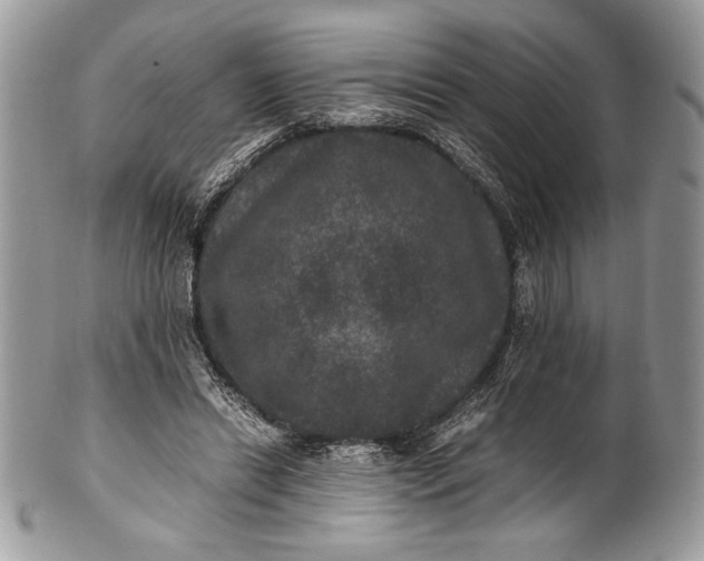 X0000100860446200807070937