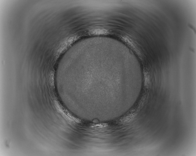 X0000100860447200807070937