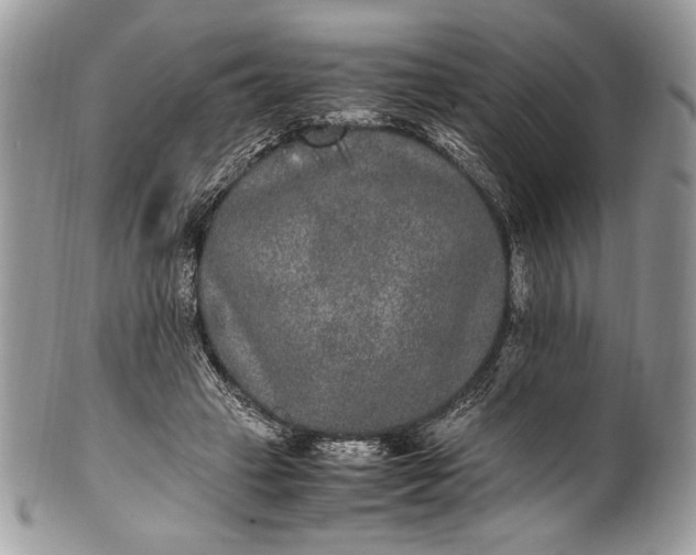 X0000100860449200807070937