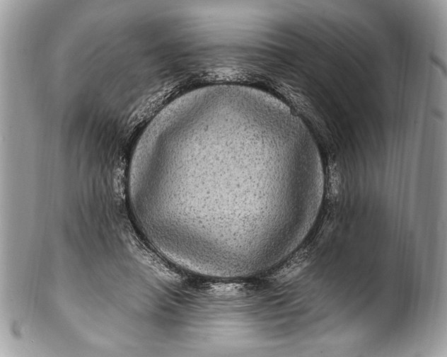 X0000100860450200807070937