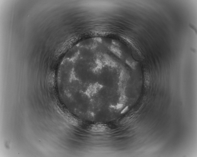 X0000100860451200807070937