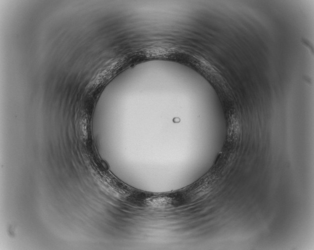 X0000100860452200807070937