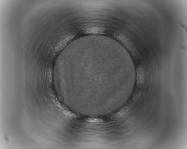 X0000100860453200807070937