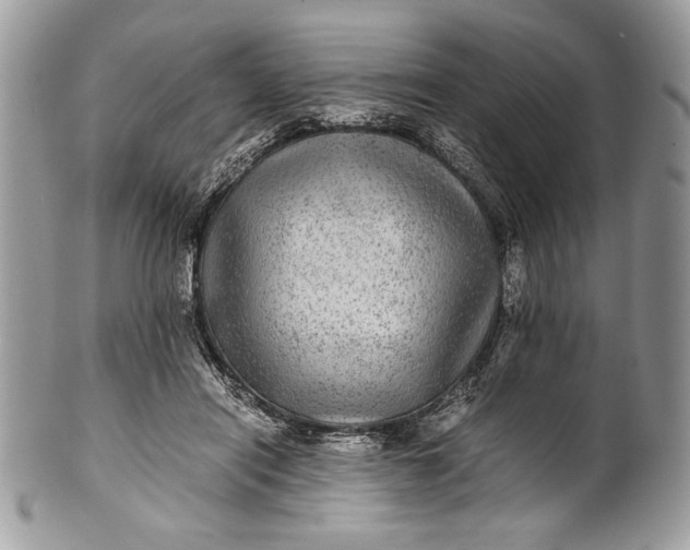 X0000100860454200807070937