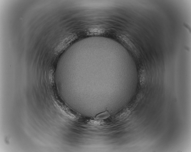 X0000100860455200807070937