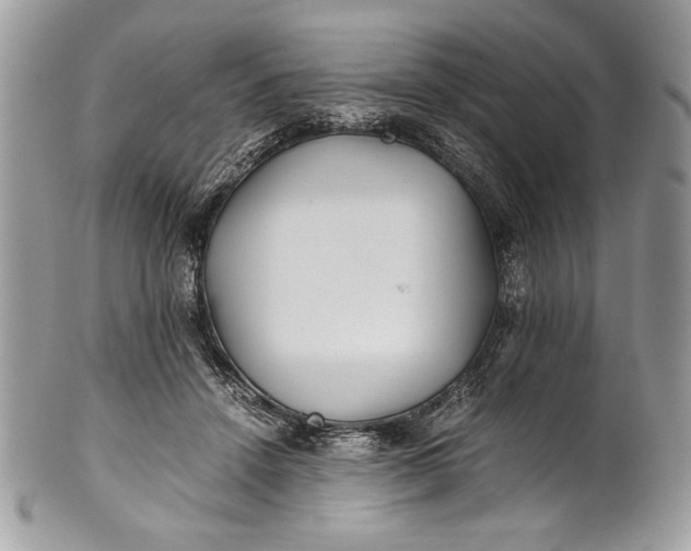 X0000100860456200807070937