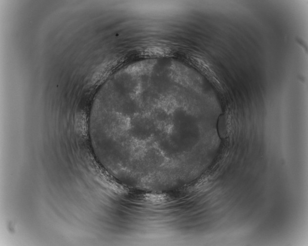 X0000100860457200807070937