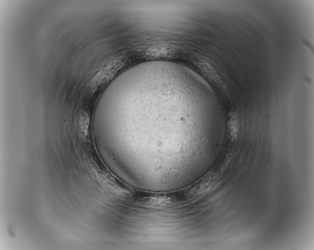 X0000100860458200807070937